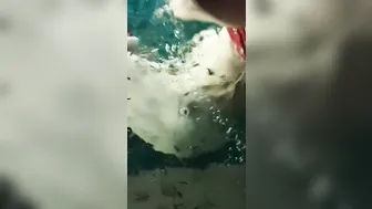 好多小鱼